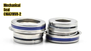 Segel Mekanis C16A31HVH-2