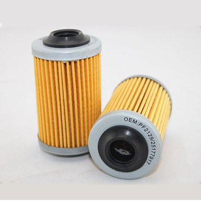 Kustomisasi Filter Oli Untuk Honda Nissan Suzuki OE 25177917 PF2129 HU69/3X OX824D 0986AF02