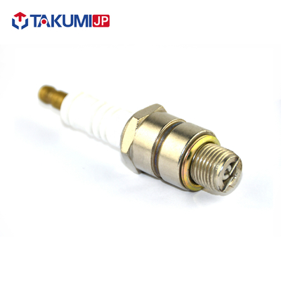 Busi Generator Performa Baik Untuk BERU 14R-5BIU/STITT R2SGA40L