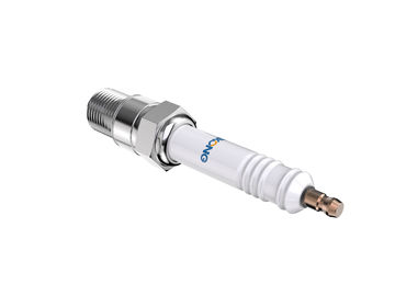 Penggantian Champion RB77WPCC Spark Plug Platinum (Champion, Diameter 14mm)