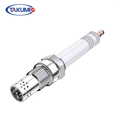 Gas Generator Spark Plug R10P3 Untuk GE Jenbacher P3 30002064 462199/462203/401824/639753/639754/347257